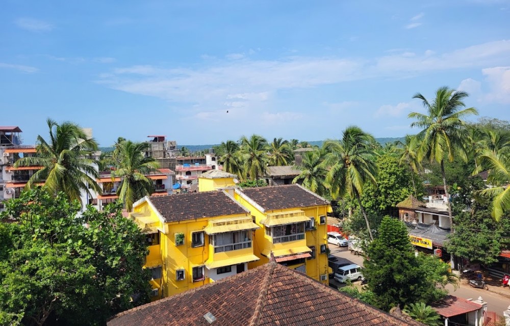 Gallery Pictures